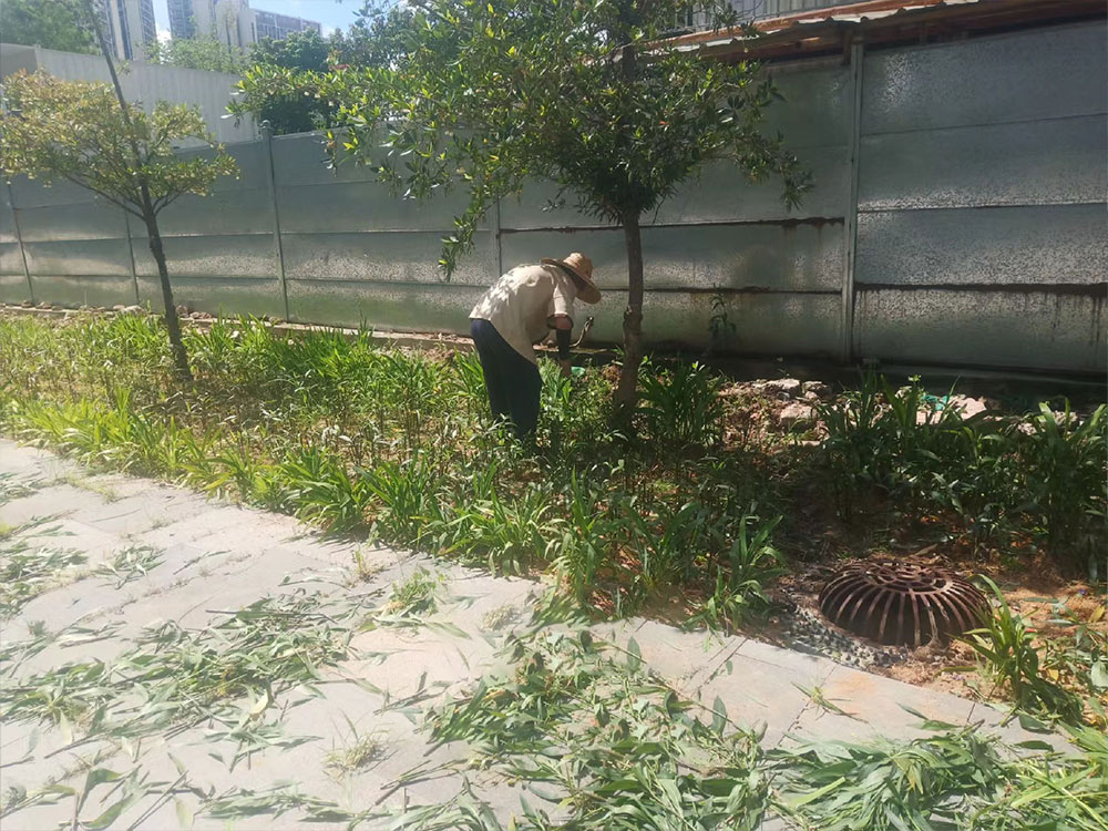 园林绿化服务