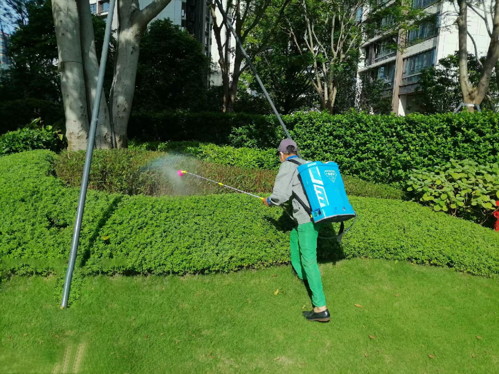 四害消杀服务