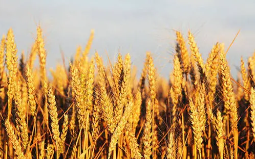 六月黄金季,环亮成功进驻五大保洁项目